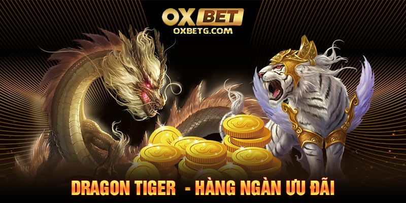 dragon-tiger-oxbet